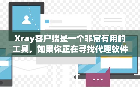 Xray客户端是一个非常有用的工具，如果你正在寻找代理软件来优化图像分析功能，以下是一些详细的推荐和分析，帮助你做出最佳选择