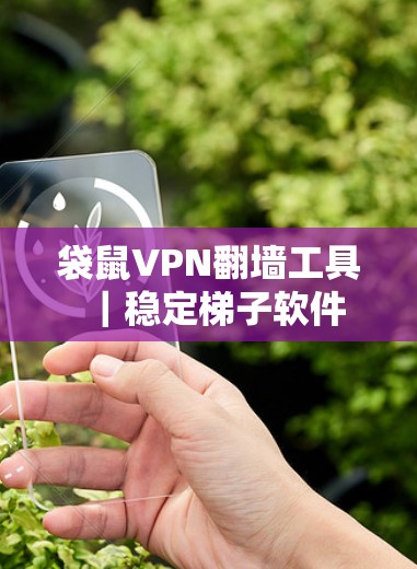 袋鼠VPN翻墙工具|稳定梯子软件 袋鼠VPN翻墙工具|稳定梯子软件