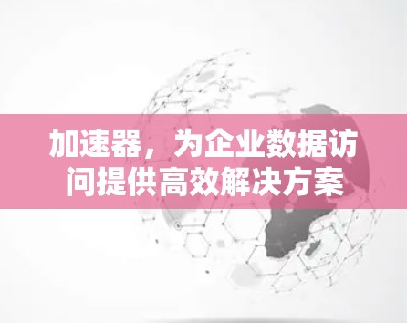 加速器，为企业数据访问提供高效解决方案