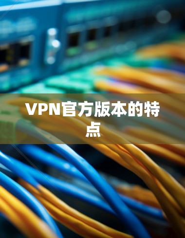 VPN官方版本的特点