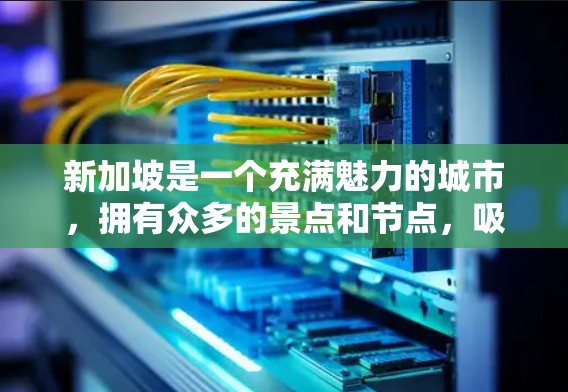 新加坡是一个充满魅力的城市，拥有众多的景点和节点，吸引着来自世界各地的游客。以下是一些新加坡节点的推荐，根据不同的兴趣和需求来选择