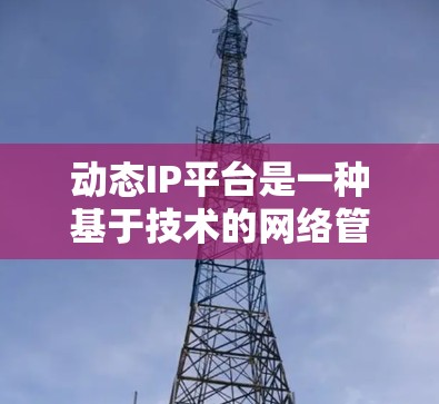动态IP平台是一种基于技术的网络管理平台，旨在支持动态管理网络设备和IP地址，包括自动分配、配置和监控。以下是其特点、功能、应用场景及其优缺点的总结
