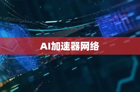 AI加速器网络 AI加速器网络