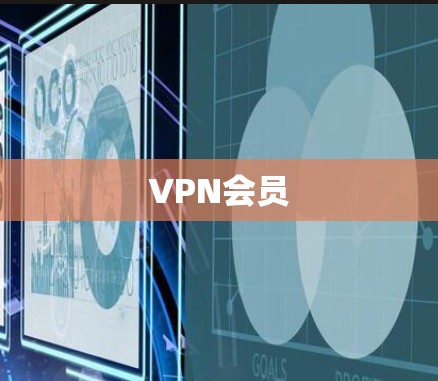 VPN会员