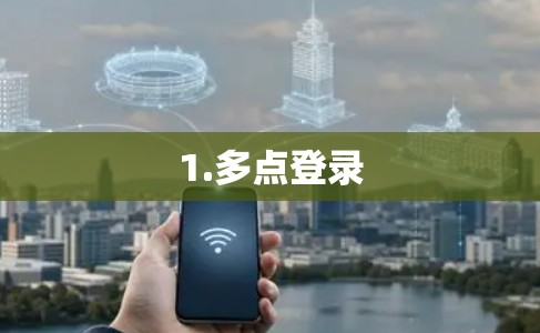 1.多点登录