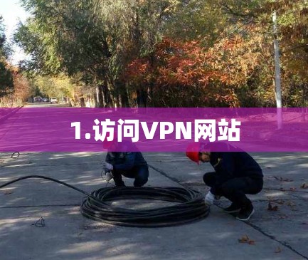 1.访问VPN网站