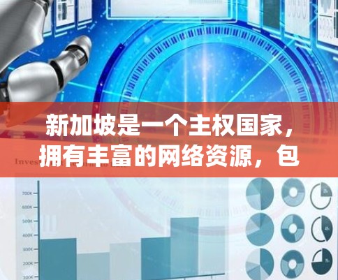 新加坡是一个主权国家，拥有丰富的网络资源，包括VPN服务。新加坡的许多社交媒体平台，如TikTok、YouTube、Spotify等，都是提供VPN服务的来源。以下是新加坡的一些主要VPN服务