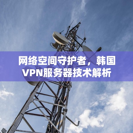 网络空间守护者，韩国VPN服务器技术解析