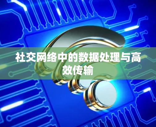 社交网络中的数据处理与高效传输 社交网络中的数据处理与高效传输