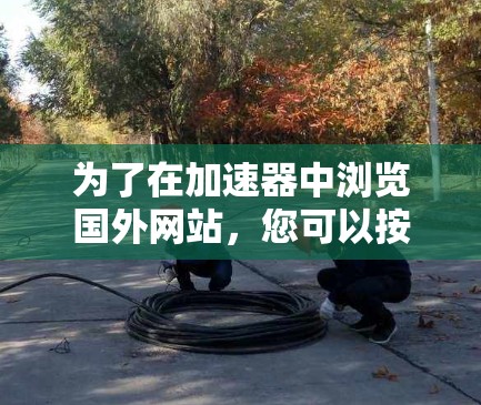 为了在加速器中浏览国外网站，您可以按照以下步骤操作