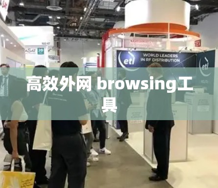 高效外网 browsing工具