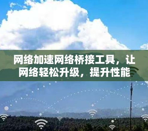 网络加速网络桥接工具,让网络轻松升级,提升性能 网络加速网络桥接工具,让网络轻松升级,提升性能