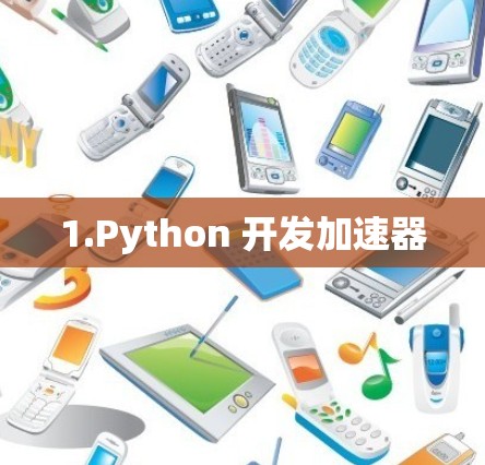 1.Python 开发加速器