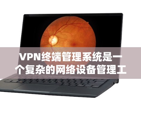 VPN终端管理系统是一个复杂的网络设备管理工具，旨在帮助用户访问远程网络终端。以下是学习VPN终端管理器的主要步骤和内容