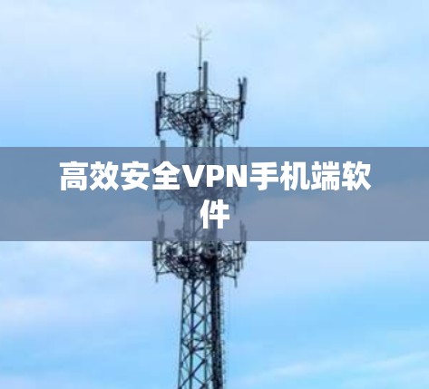 高效安全VPN手机端软件 高效安全VPN手机端软件